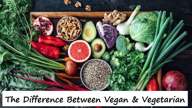 The Difference Between Vegan & Vegetarian