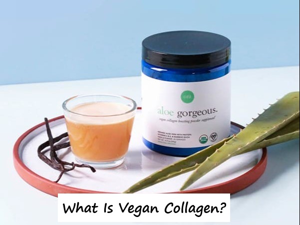 What Is Vegan Collagen?