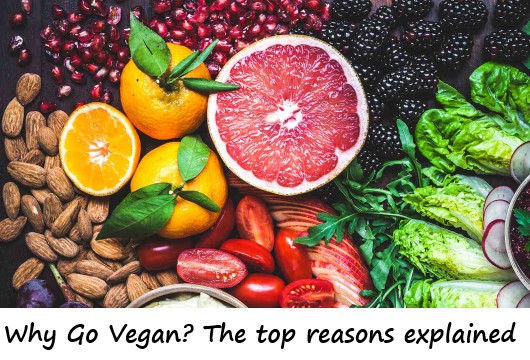 Why Go Vegan? The top reasons explained